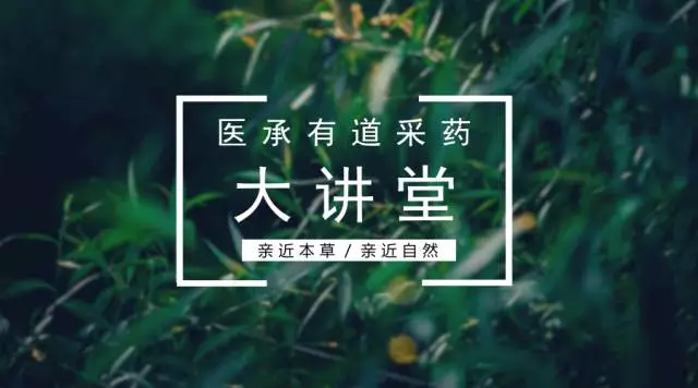 采药VR虚拟仿真实训